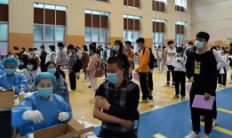 第五大道爆料最新消息视频,最新爆料视频深度解析