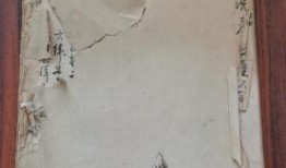 爆料大连探店视频最新,网红美食打卡地大盘点