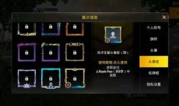 刺激战场s8爆料最新,全新内容与玩法大揭秘！